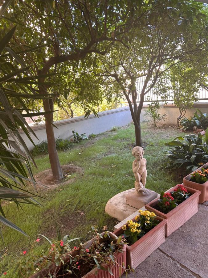 Ajoaolbia B&B المظهر الخارجي الصورة