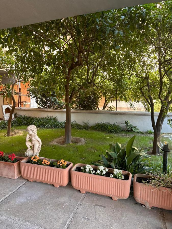 Ajoaolbia B&B المظهر الخارجي الصورة